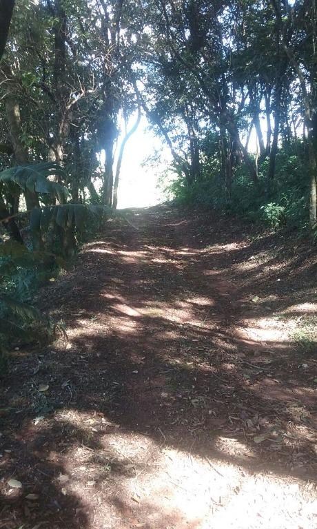 Sítio, 3 quartos - Foto 22
