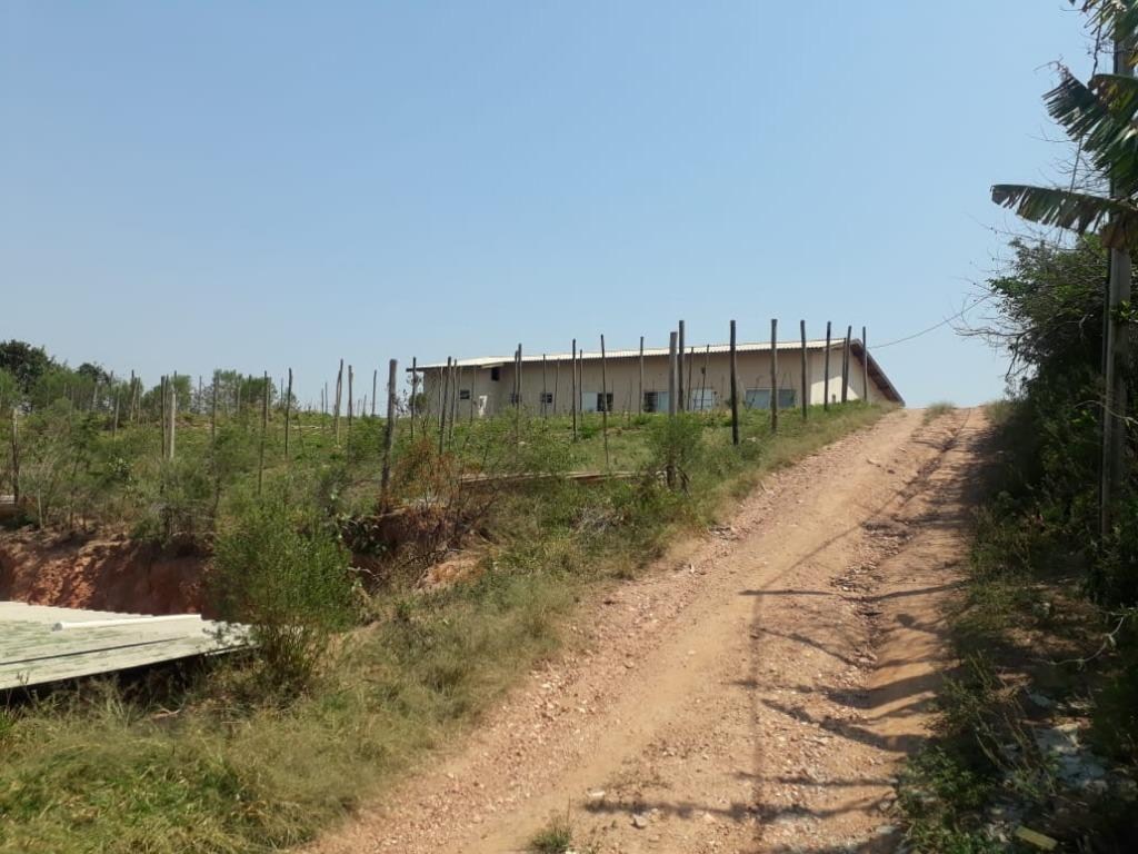 Chácara, 4 quartos - Foto 19