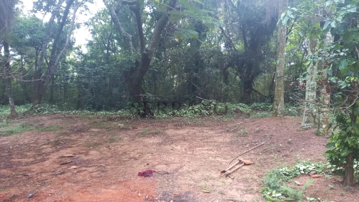 Terreno, 1 hectares - Foto 3