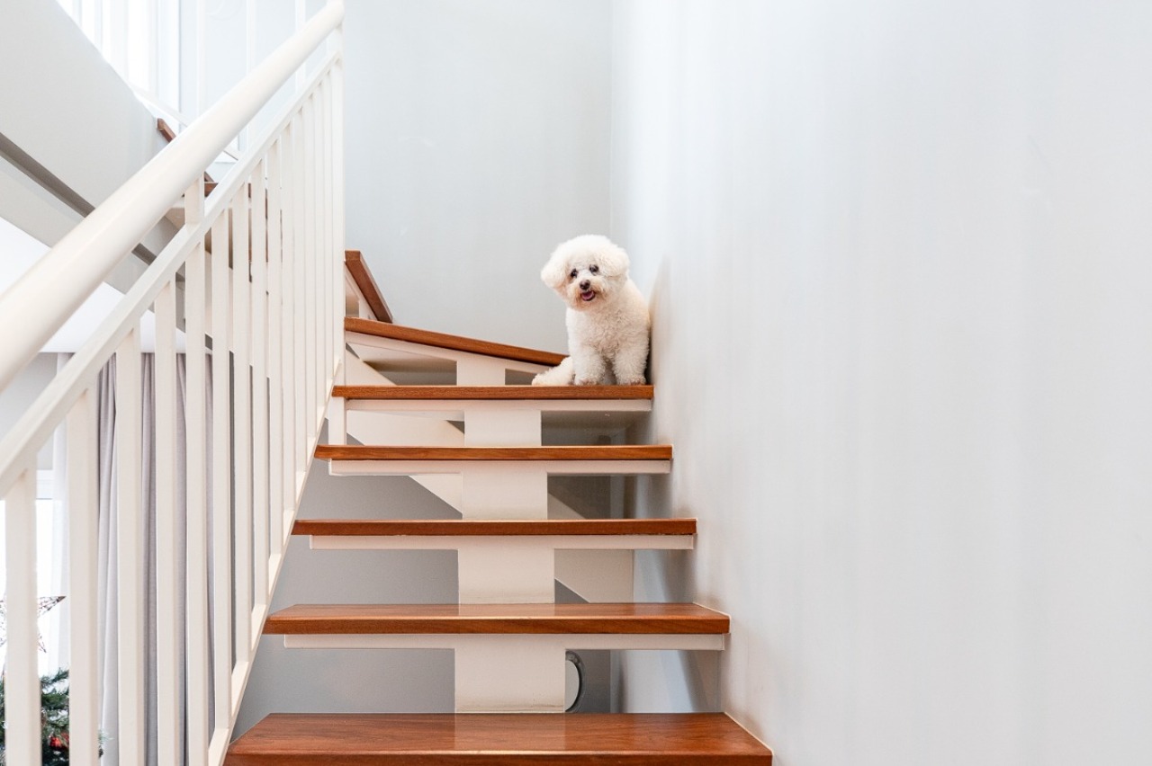 Cobertura, 4 quartos, 284 m² - Foto 20