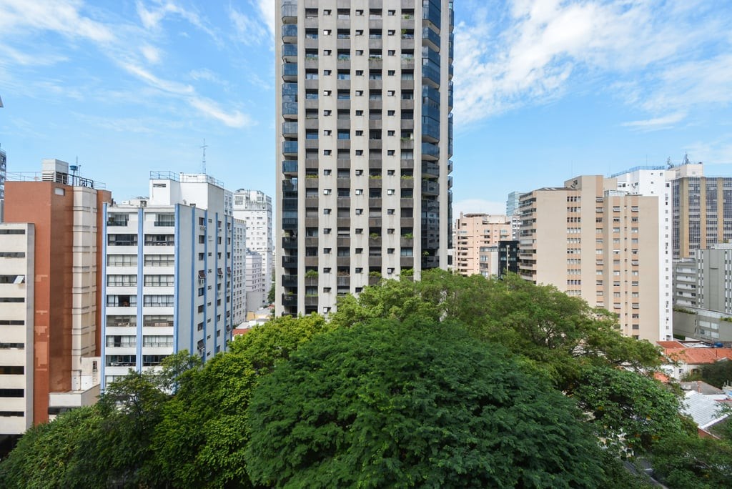 Apartamento, 6 quartos, 468 m² - Foto 10