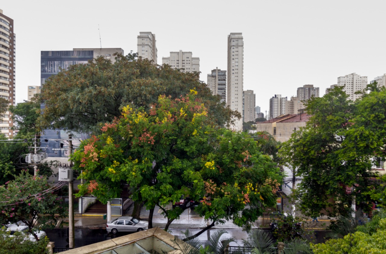 Apartamento, 2 quartos, 89 m² - Foto 6