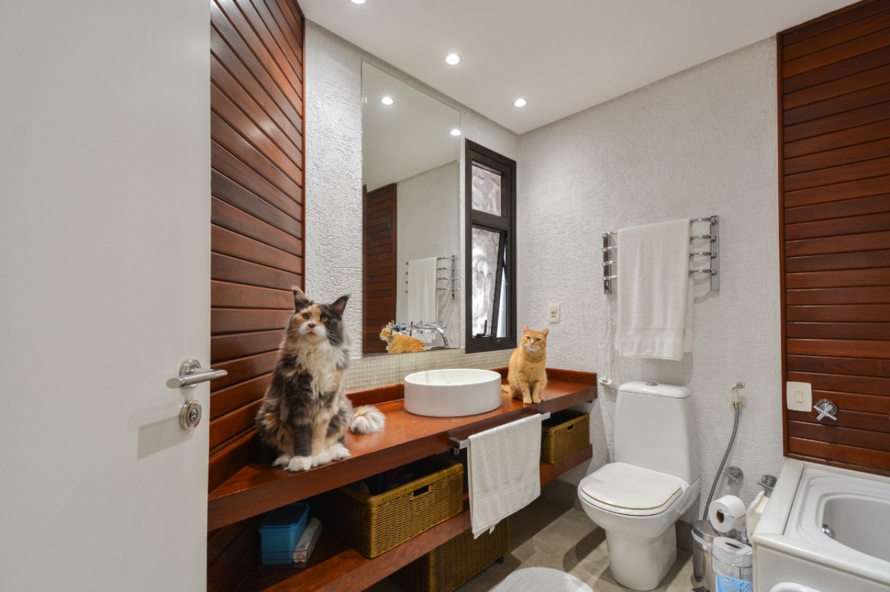 Apartamento, 4 quartos, 490 m² - Foto 40