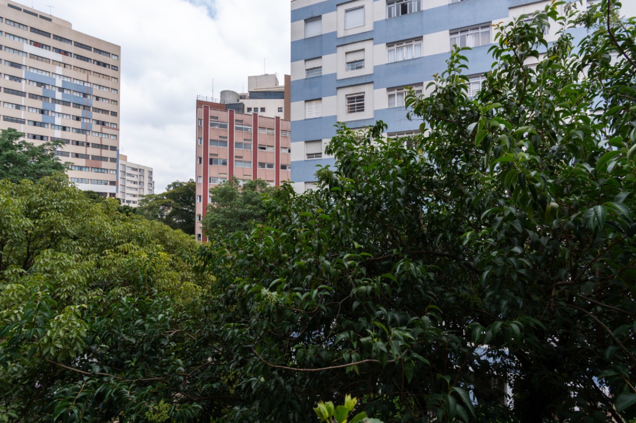 Apartamento, 3 quartos, 202 m² - Foto 14