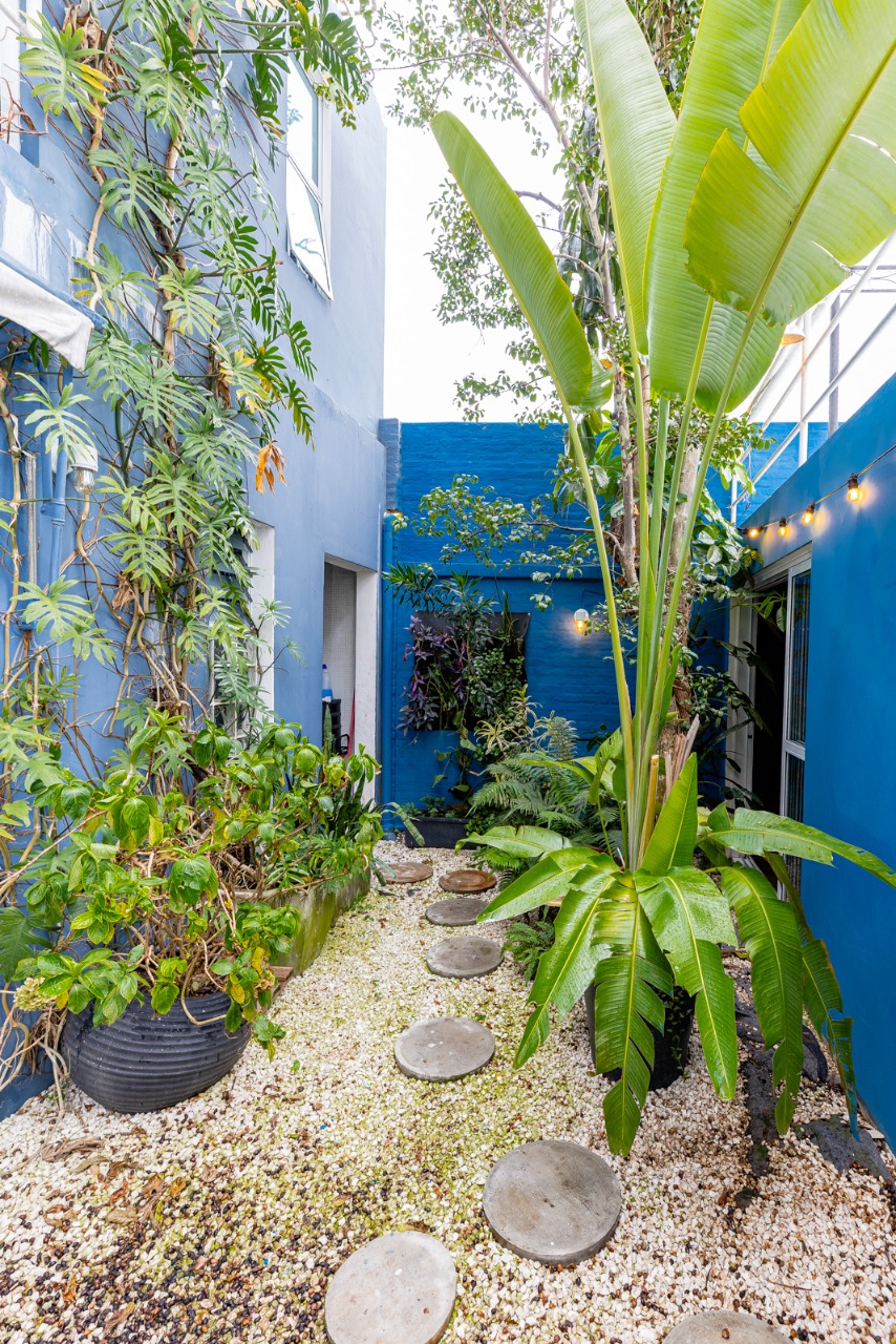 Casa, 3 quartos, 540 m² - Foto 37
