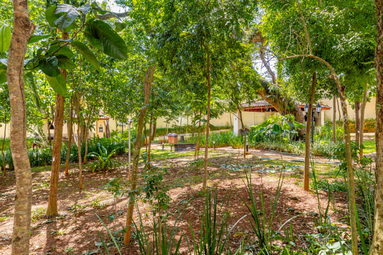 Apartamento, 2 quartos, 66 m² - Foto 40