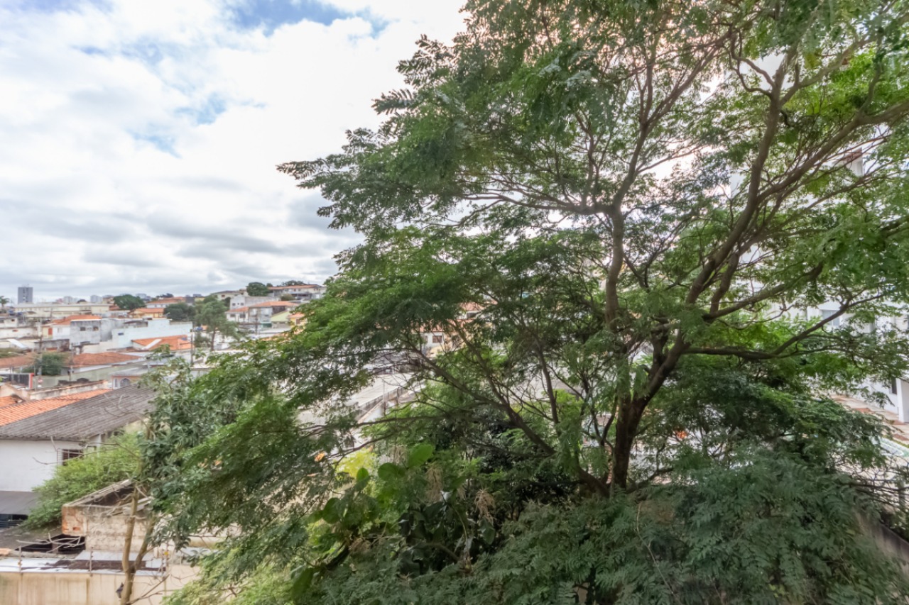 Apartamento, 3 quartos, 86 m² - Foto 11