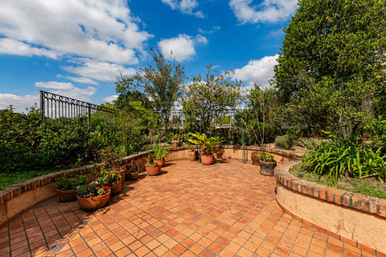 Casa, 4 quartos, 479 m² - Foto 11