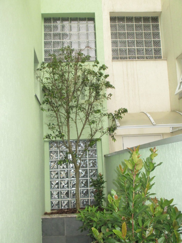 Casa, 3 quartos, 220 m² - Foto 25