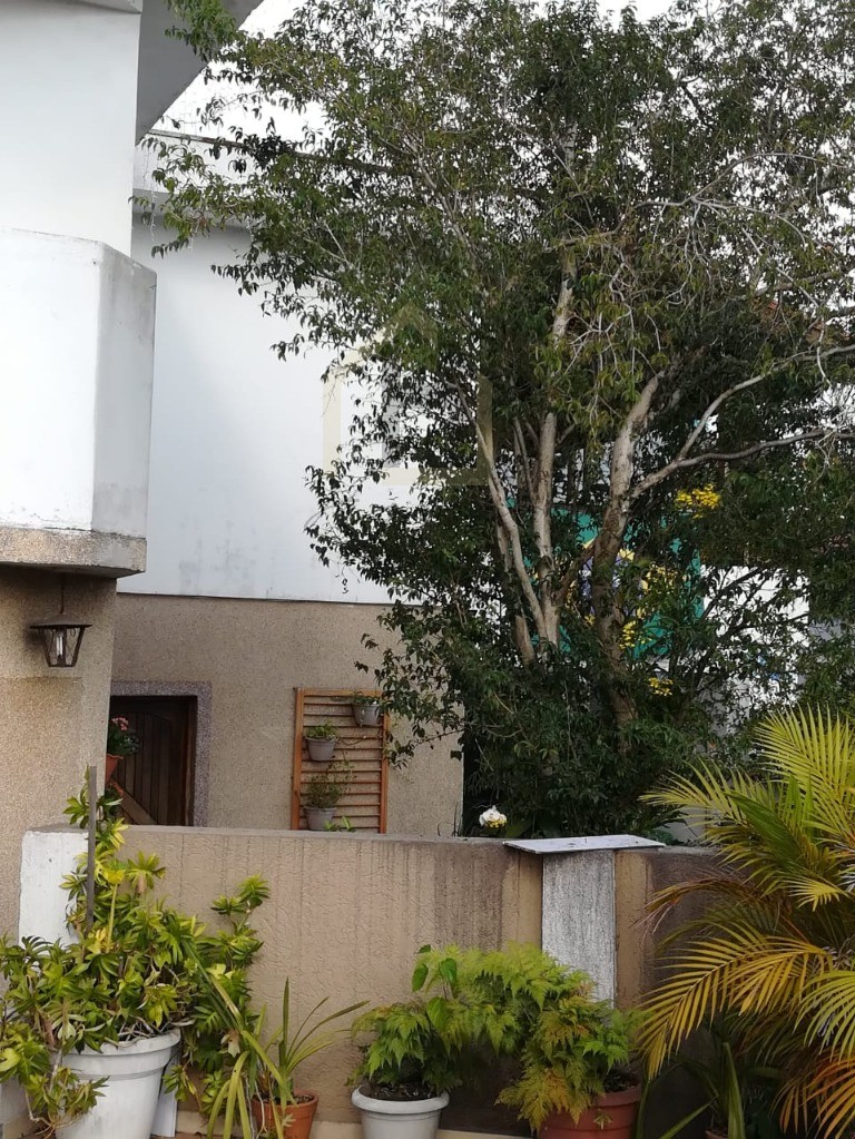 Casa, 2 quartos, 170 m² - Foto 22