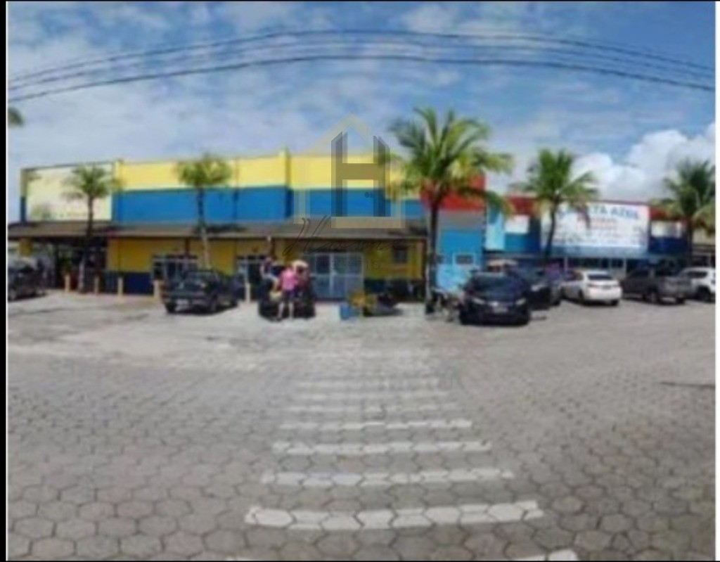 Casa, 5 quartos, 300 m² - Foto 45