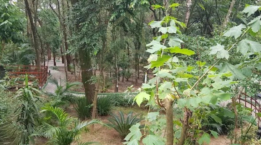 Apartamento, 2 quartos, 48 m² - Foto 14