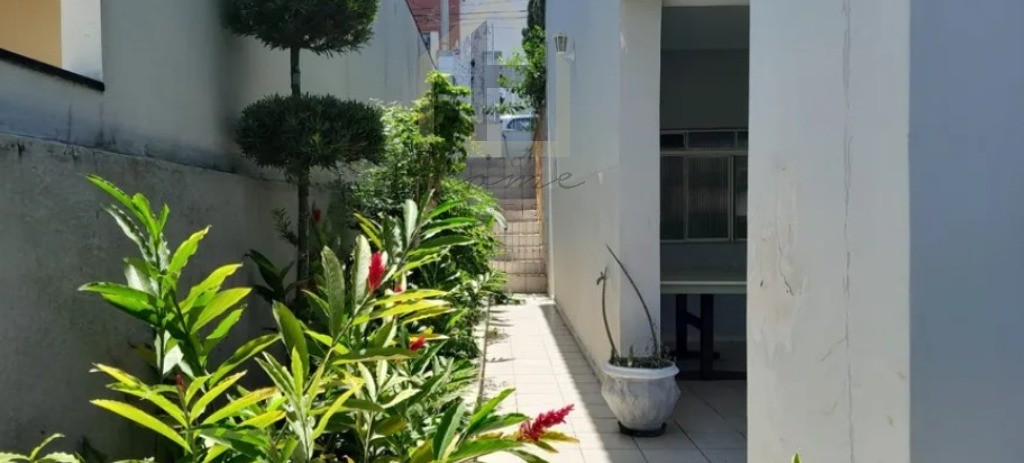 Casa, 3 quartos, 343 m² - Foto 39