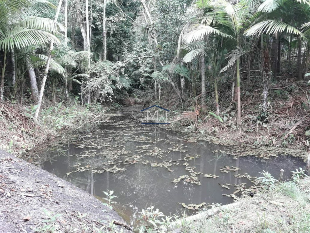 Terreno, 9 hectares - Foto 7