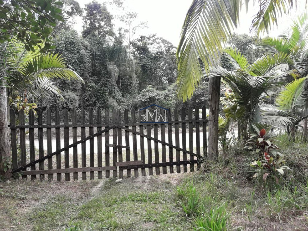 Terreno, 9 hectares - Foto 4