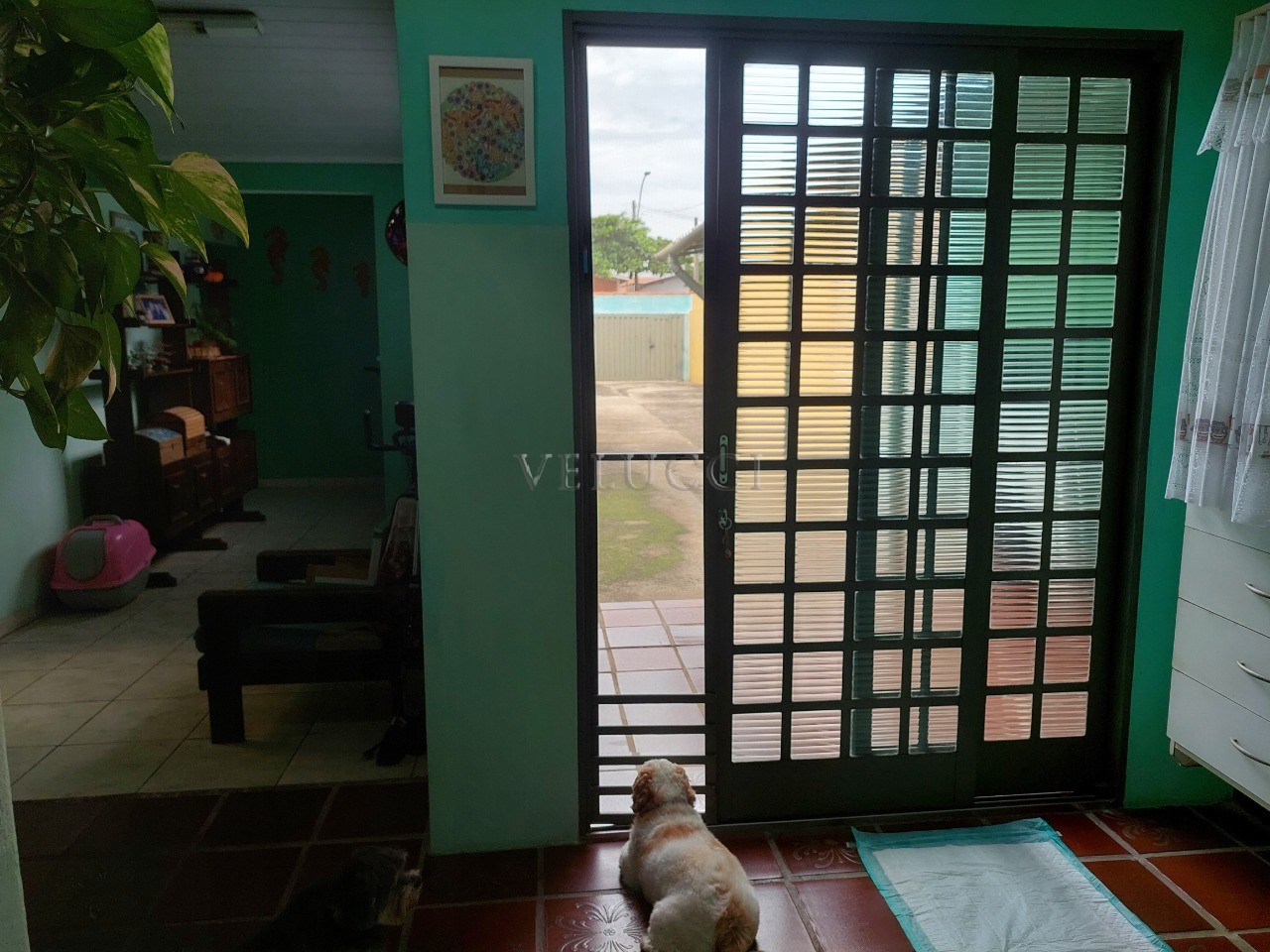 Casa, 2 quartos, 175 m² - Foto 13