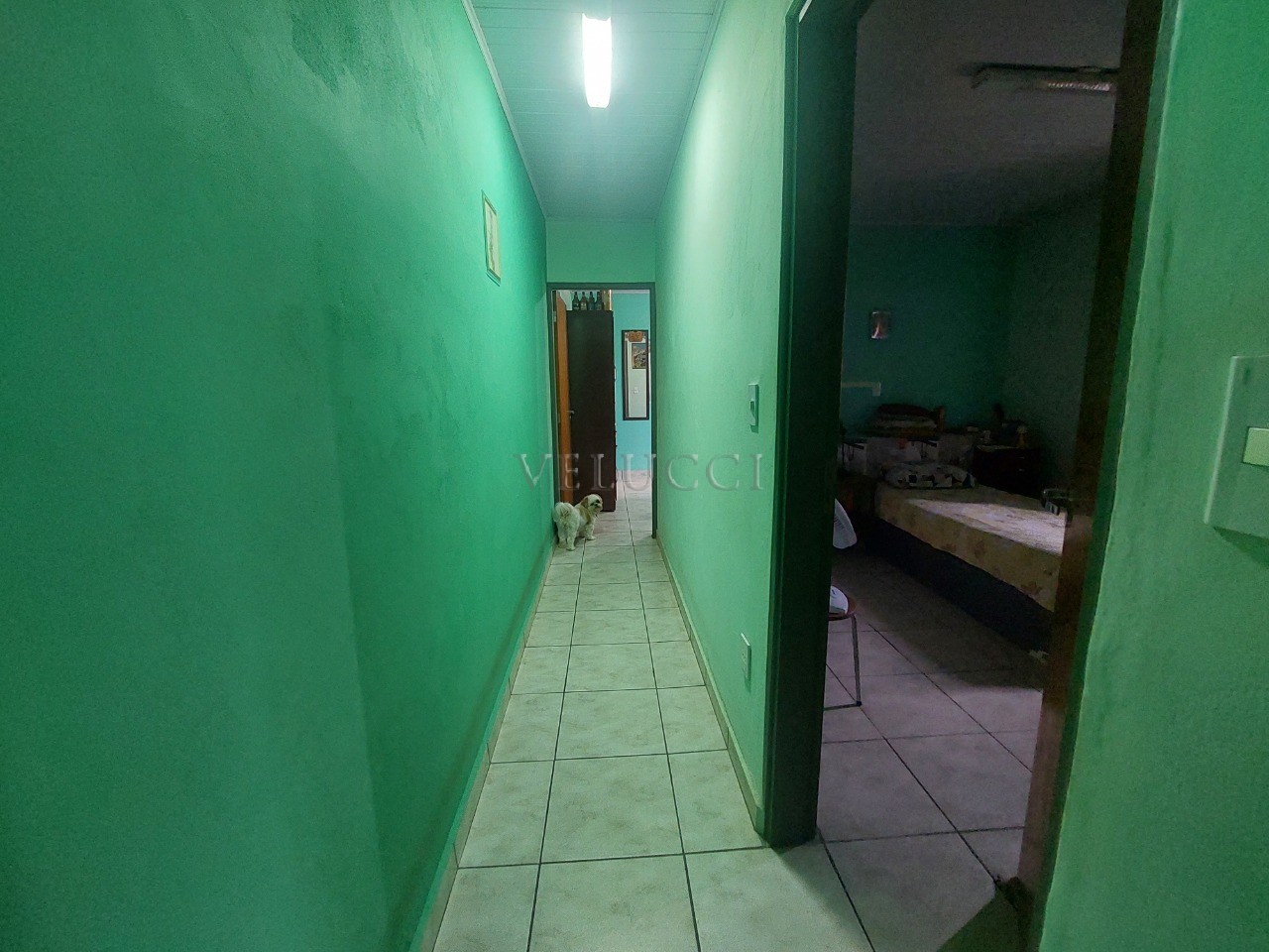 Casa, 2 quartos, 175 m² - Foto 26