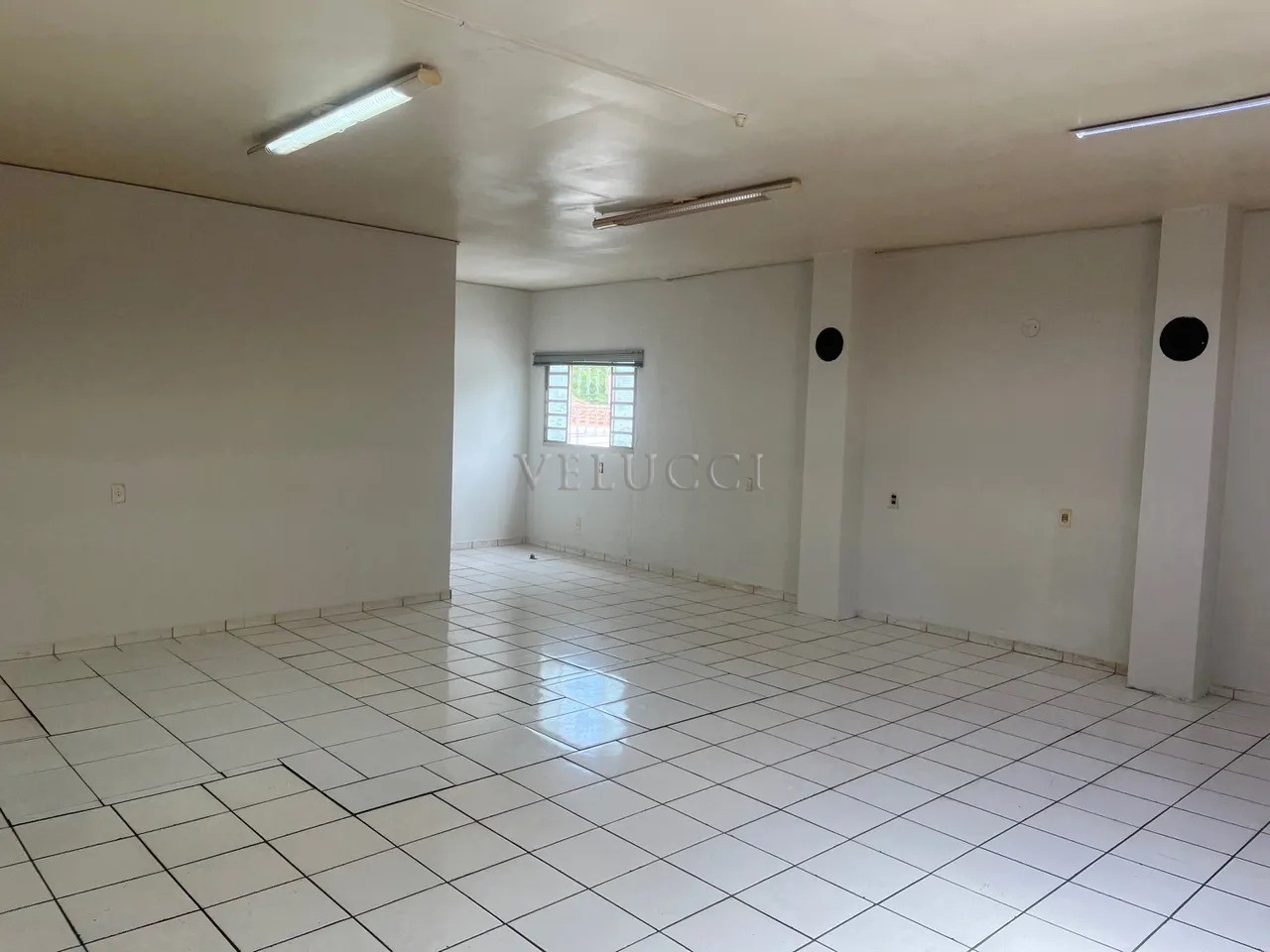 Loja-Salão, 225 m² - Foto 13