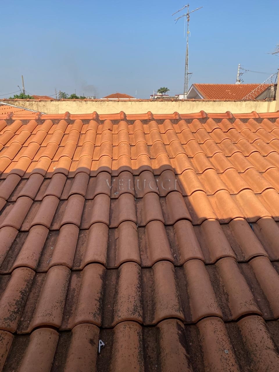 Casa, 3 quartos, 302 m² - Foto 19