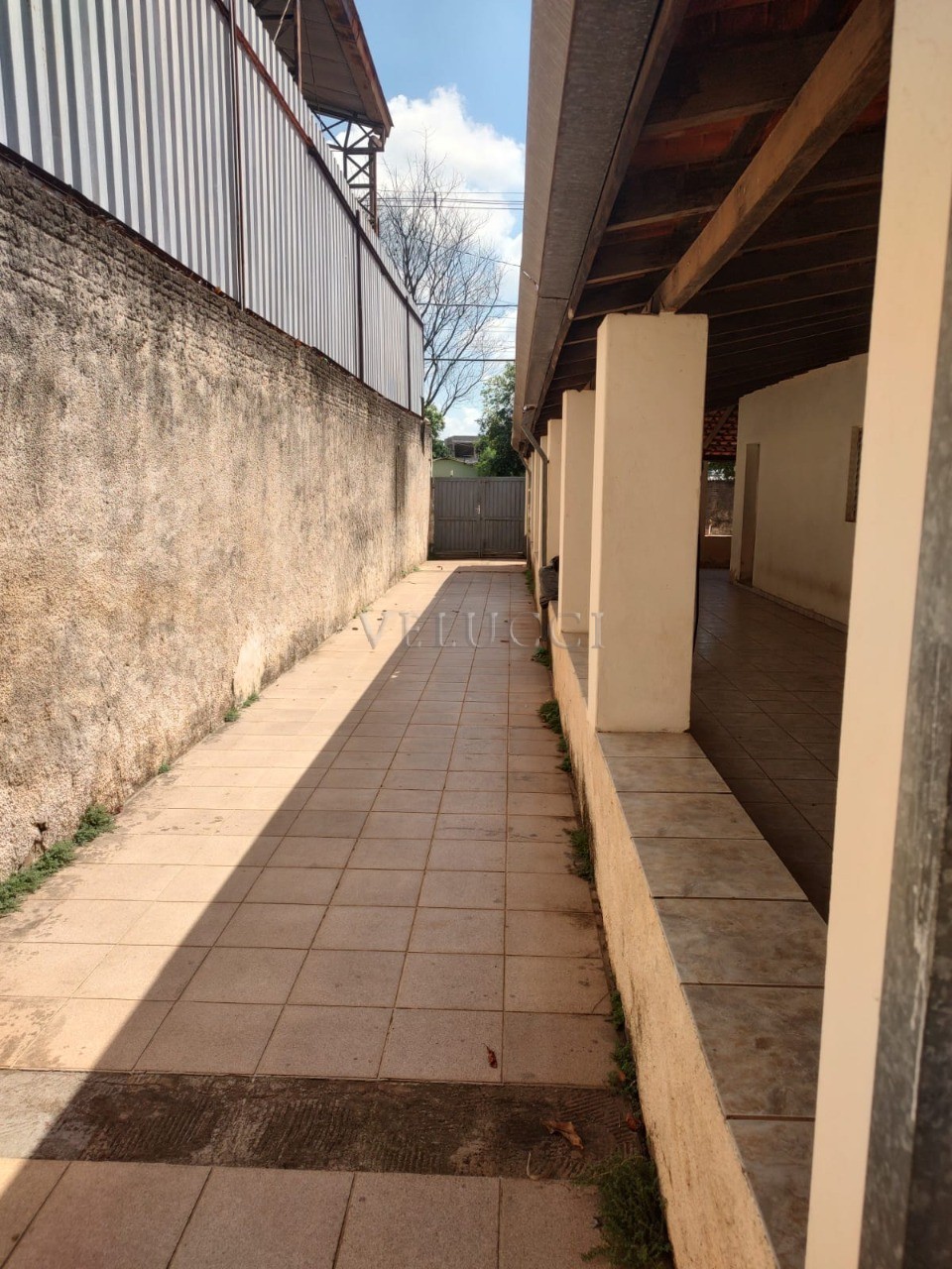 Casa, 3 quartos, 1000 m² - Foto 7