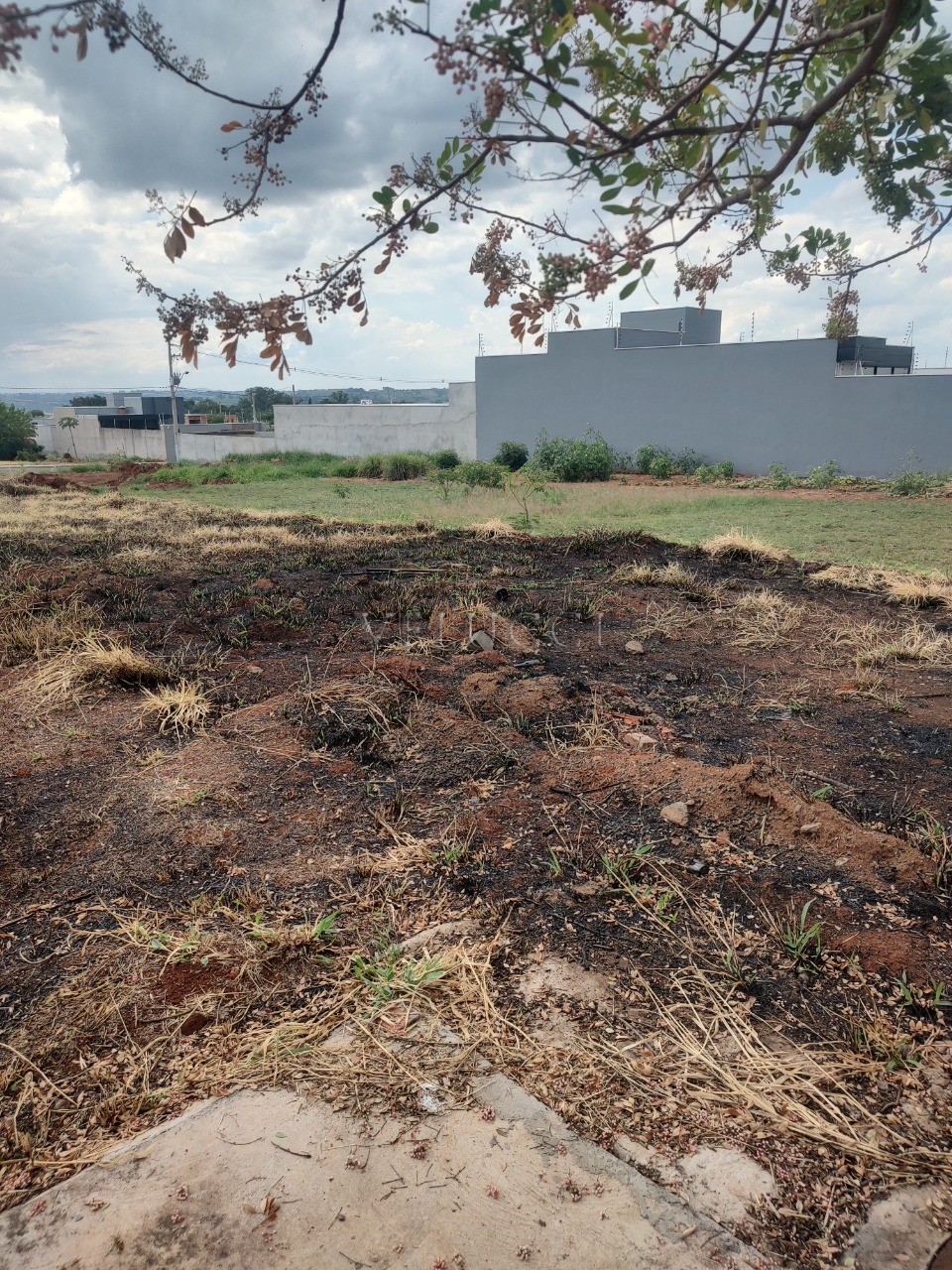 Terreno, 300 m² - Foto 3
