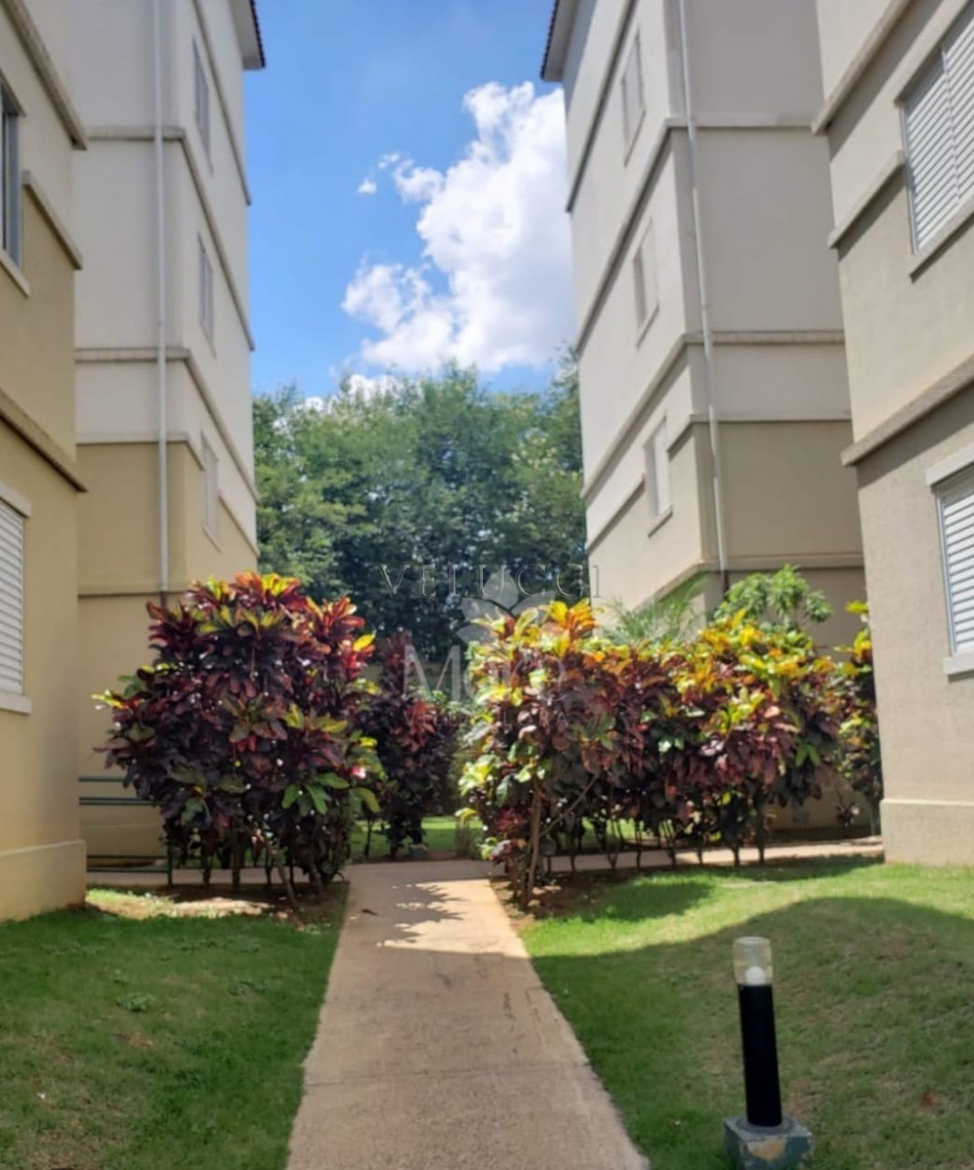 Apartamento, 3 quartos, 70 m² - Foto 23