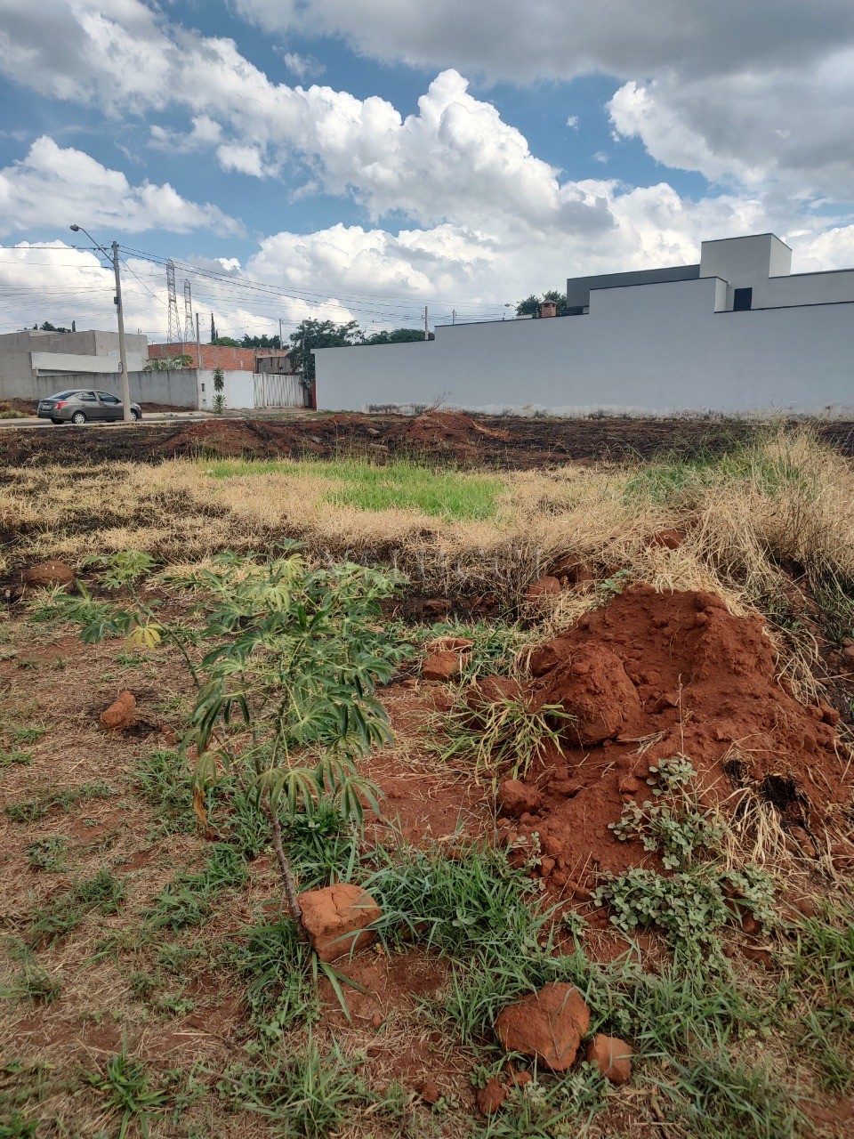 Terreno, 300 m² - Foto 5