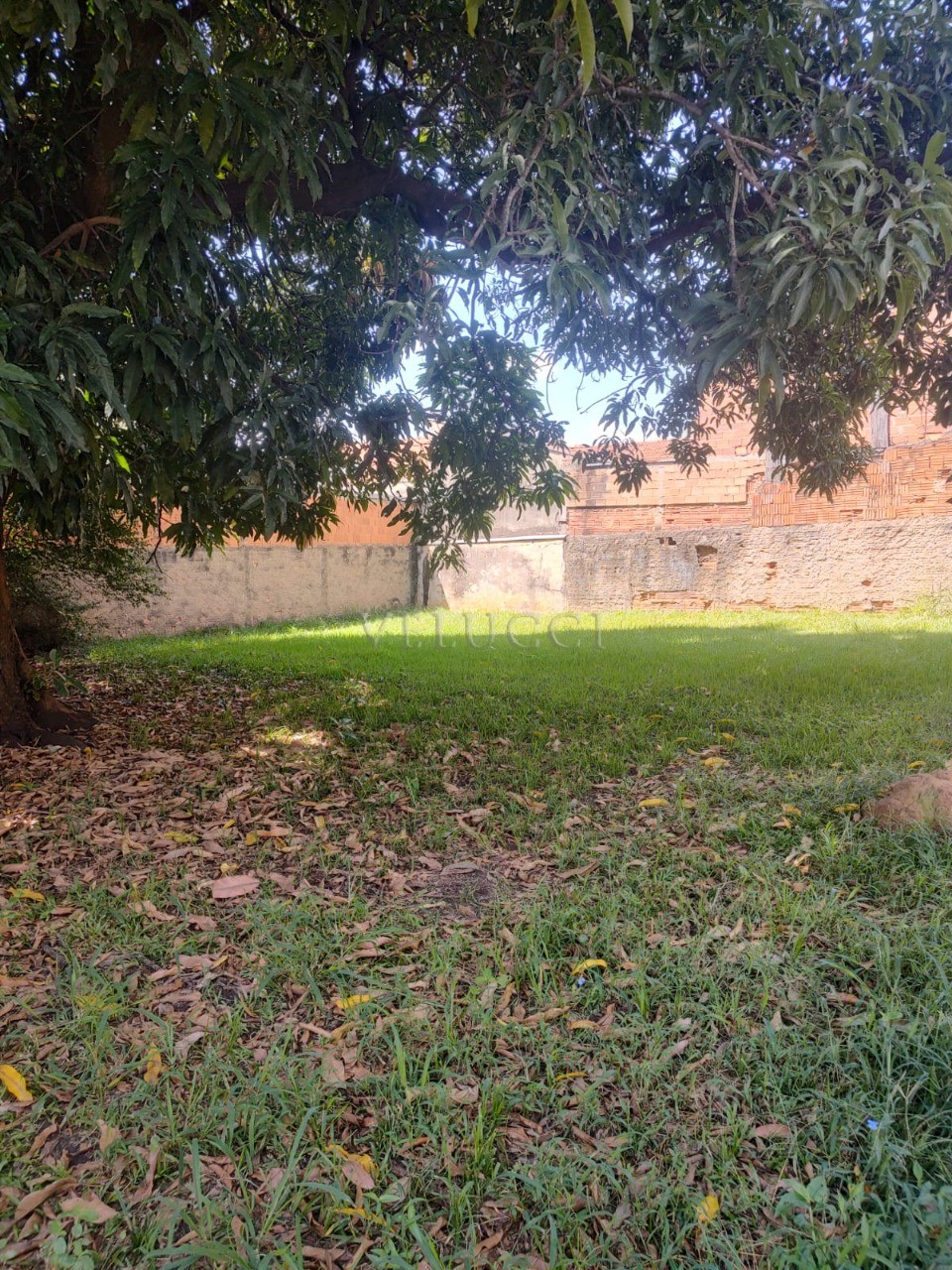 Casa, 3 quartos, 1000 m² - Foto 5