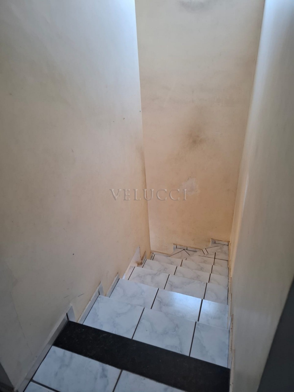 Casa, 4 quartos, 140 m² - Foto 15