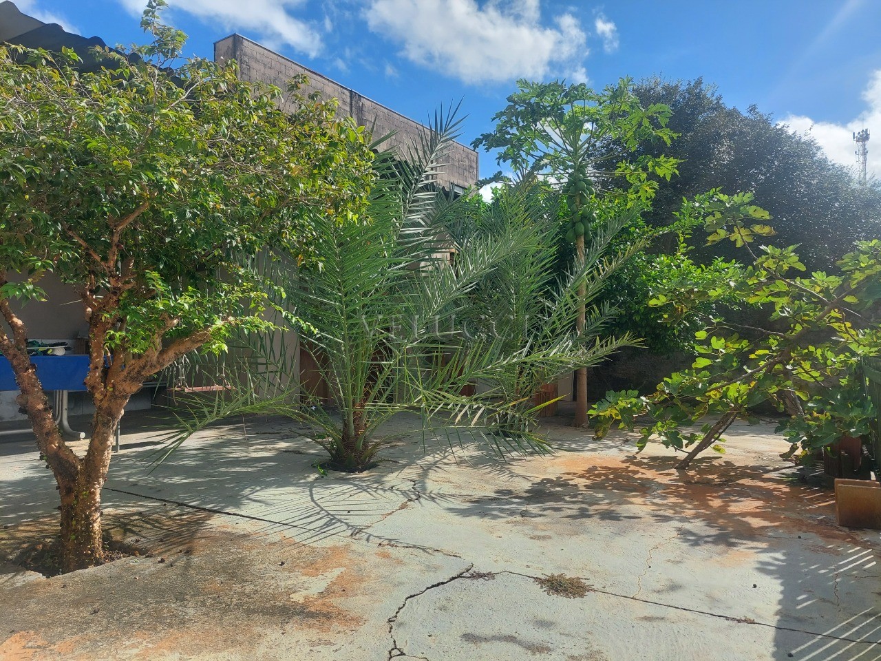 Casa, 3 quartos, 188 m² - Foto 11