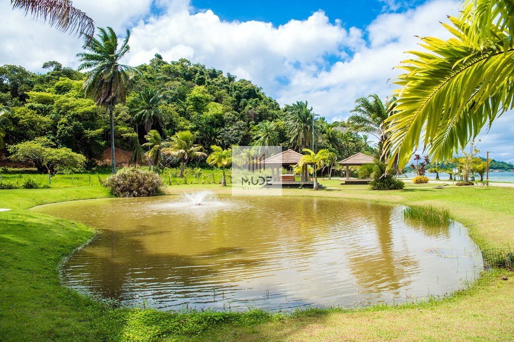 Terreno, 3000 m² - Foto 11