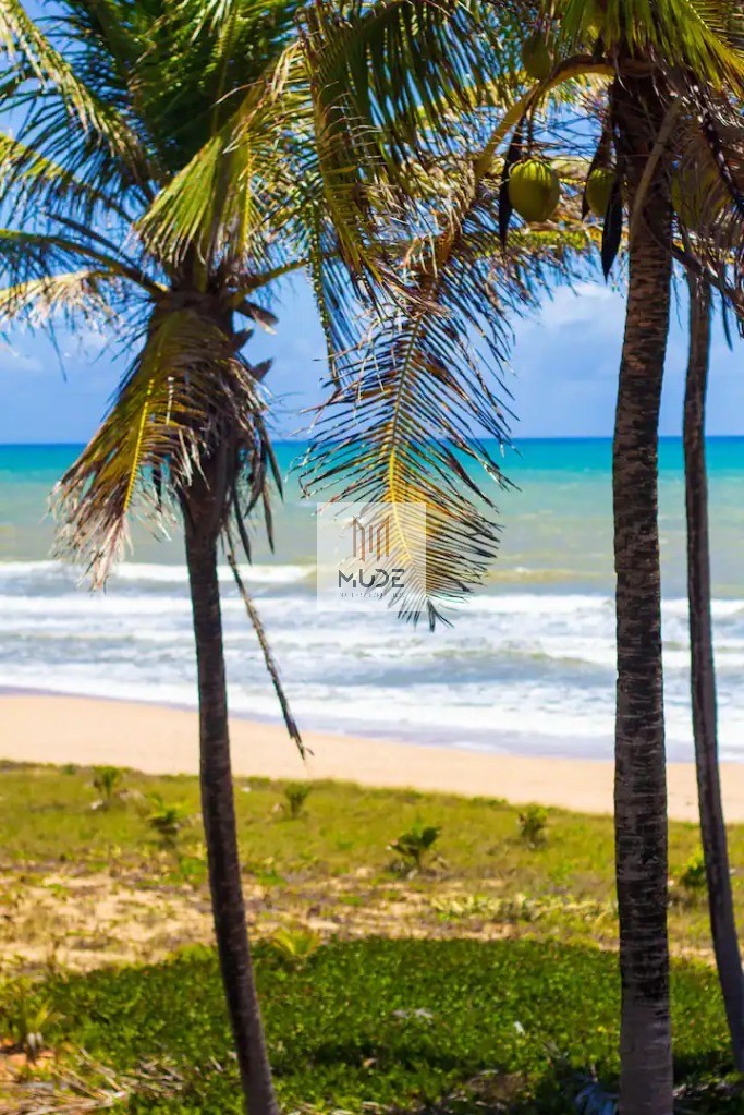 Casa, 3 quartos, 320 m² - Foto 23