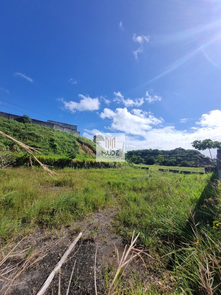Galpão/terreno - 5000m²/10.000m²/20.000m² - todo plano e murado - via parafuso antes do pedágio - locação em camaçari - bahia