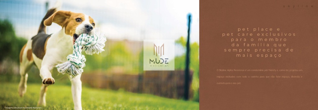 Apartamento, 4 quartos, 202 m² - Foto 21