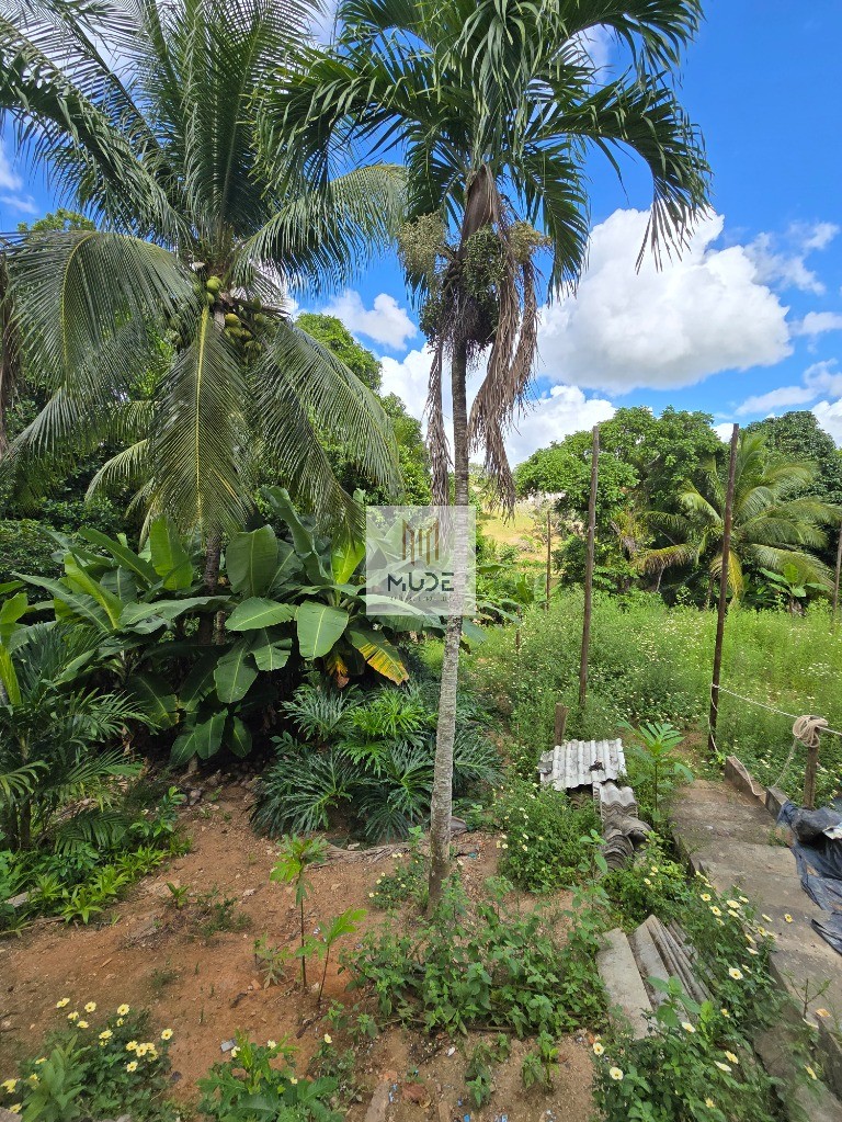 Casa, 3 quartos - Foto 39