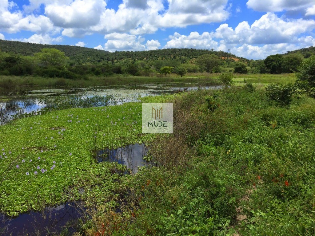 Fazenda, 653 m² - Foto 3