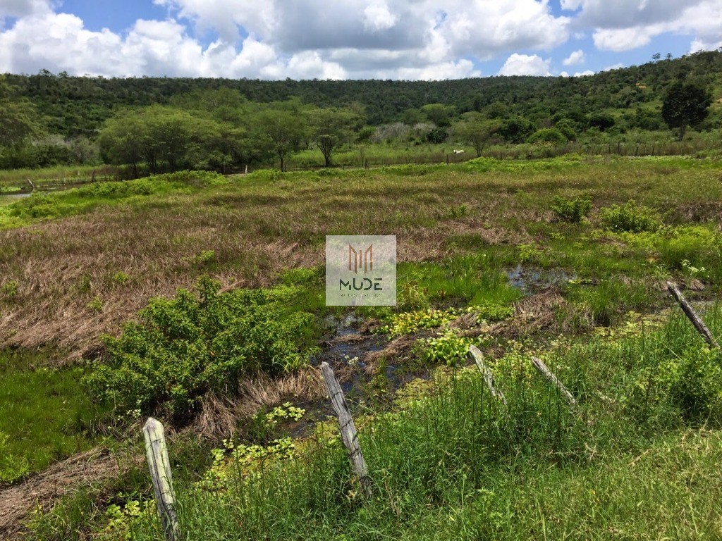 Fazenda, 653 m² - Foto 6