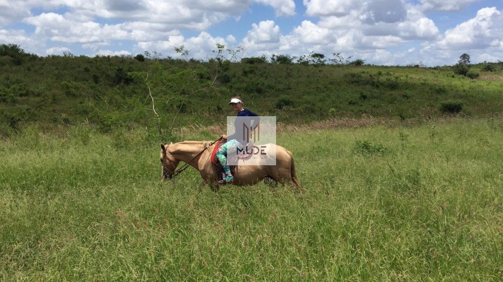 Fazenda, 653 m² - Foto 2