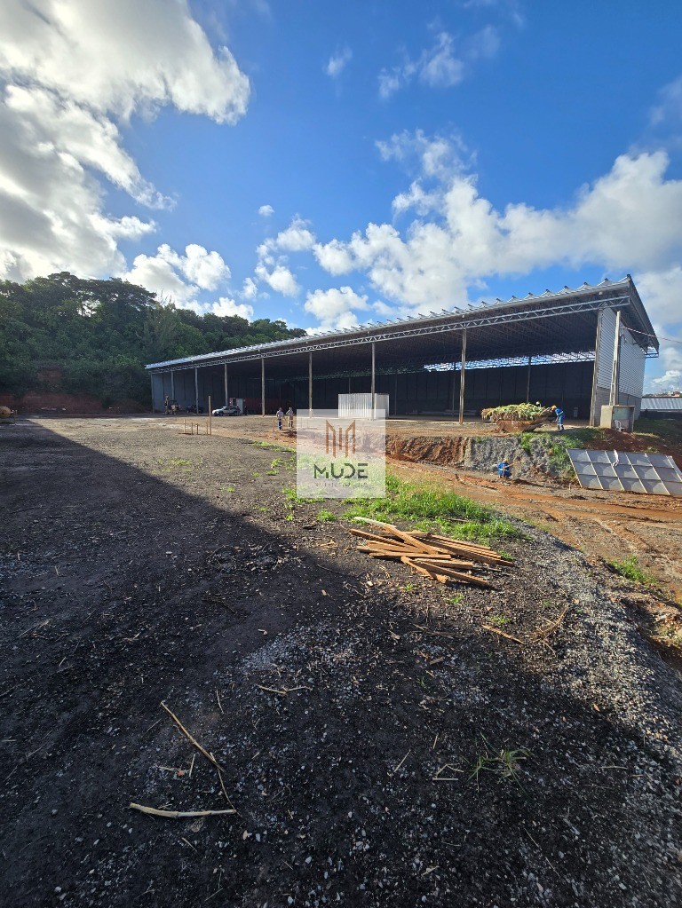Depósito-Galpão - Foto 1