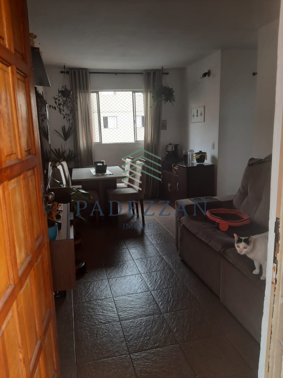 Apartamento, 2 quartos, 49 m² - Foto 2