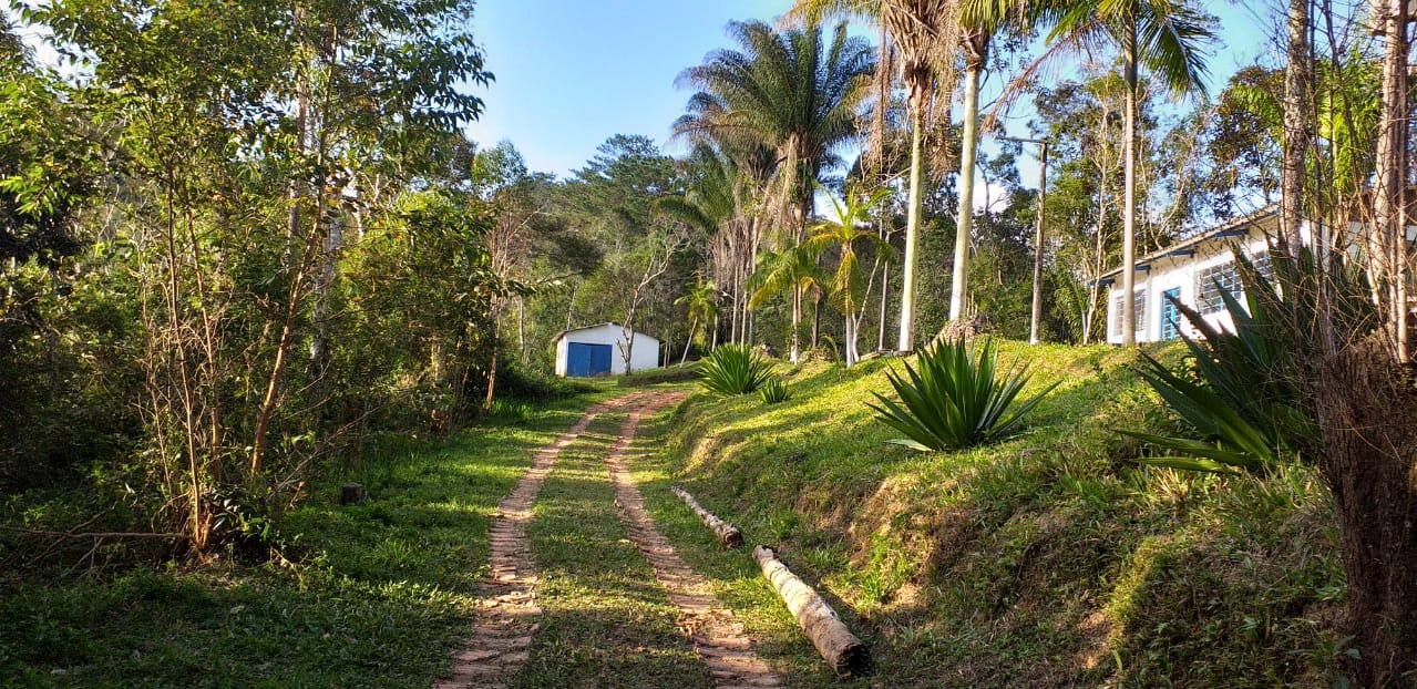 Sítio, 24 hectares - Foto 17