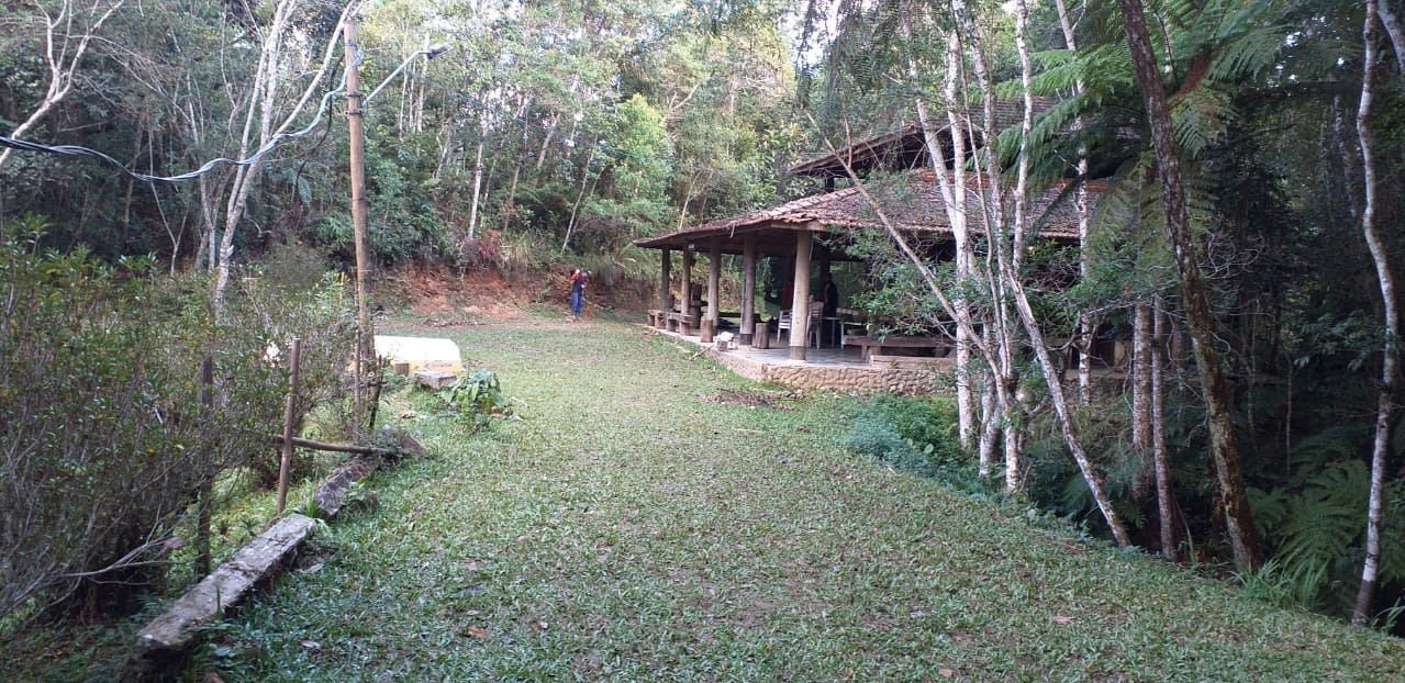Sítio, 24 hectares - Foto 4