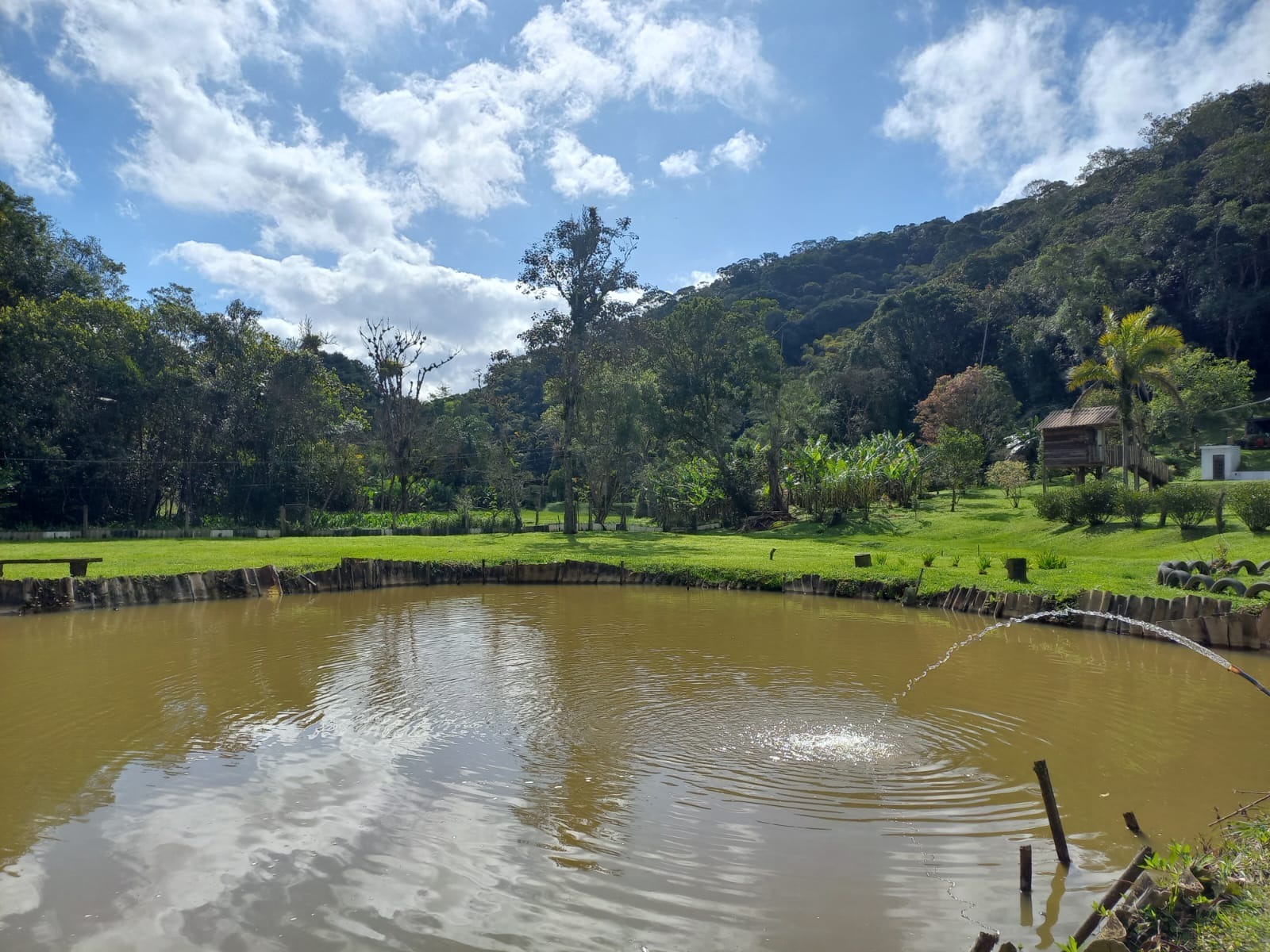 Sítio, 6 quartos, 3 hectares - Foto 2