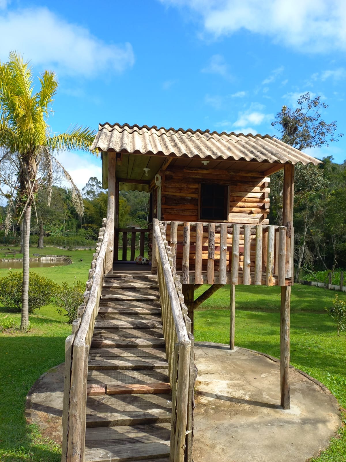 Sítio, 6 quartos, 3 hectares - Foto 13