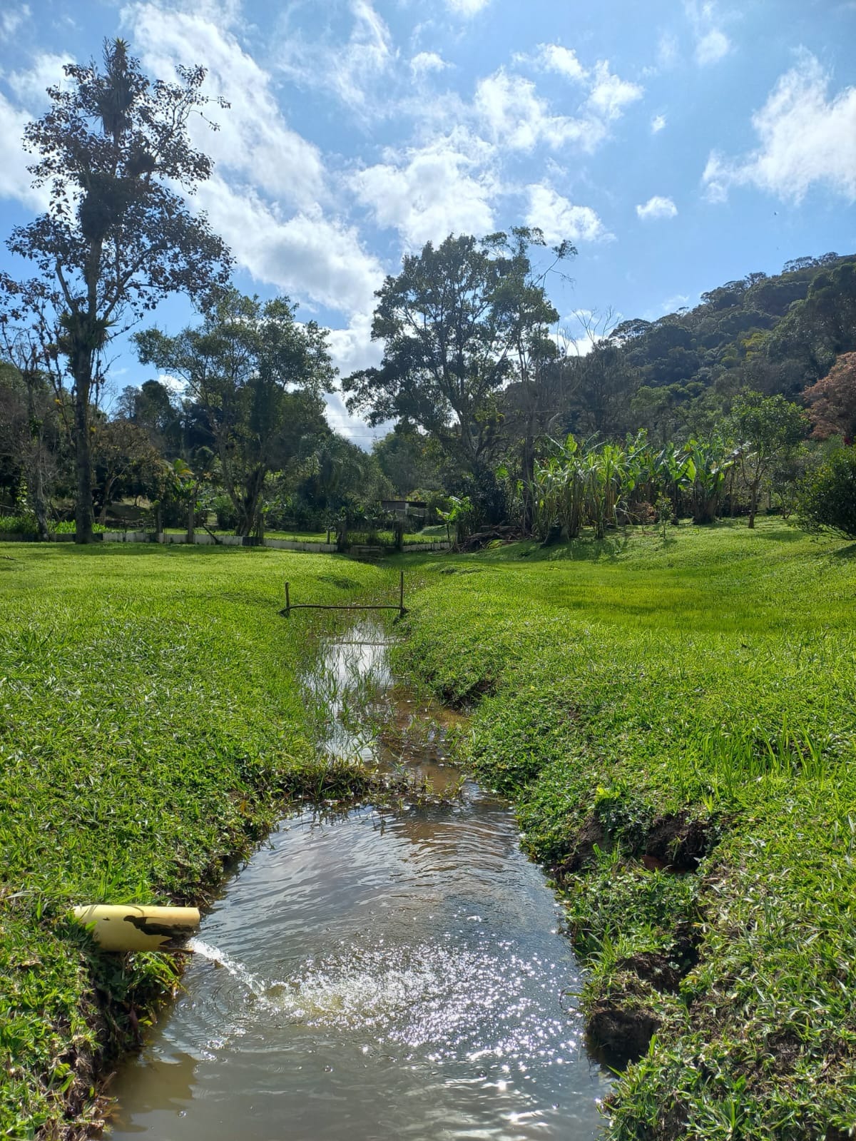 Sítio, 6 quartos, 3 hectares - Foto 10