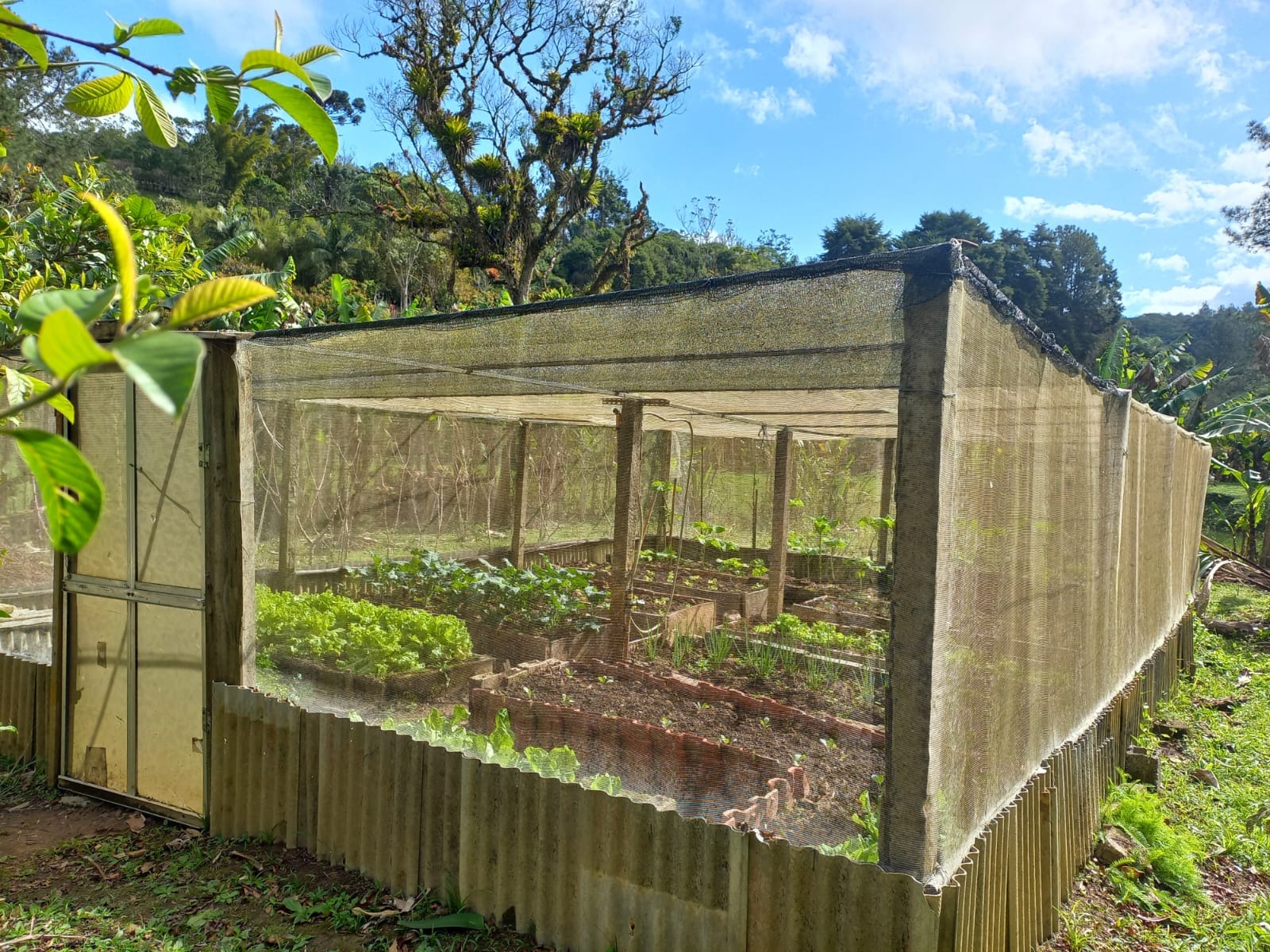 Sítio, 6 quartos, 3 hectares - Foto 15