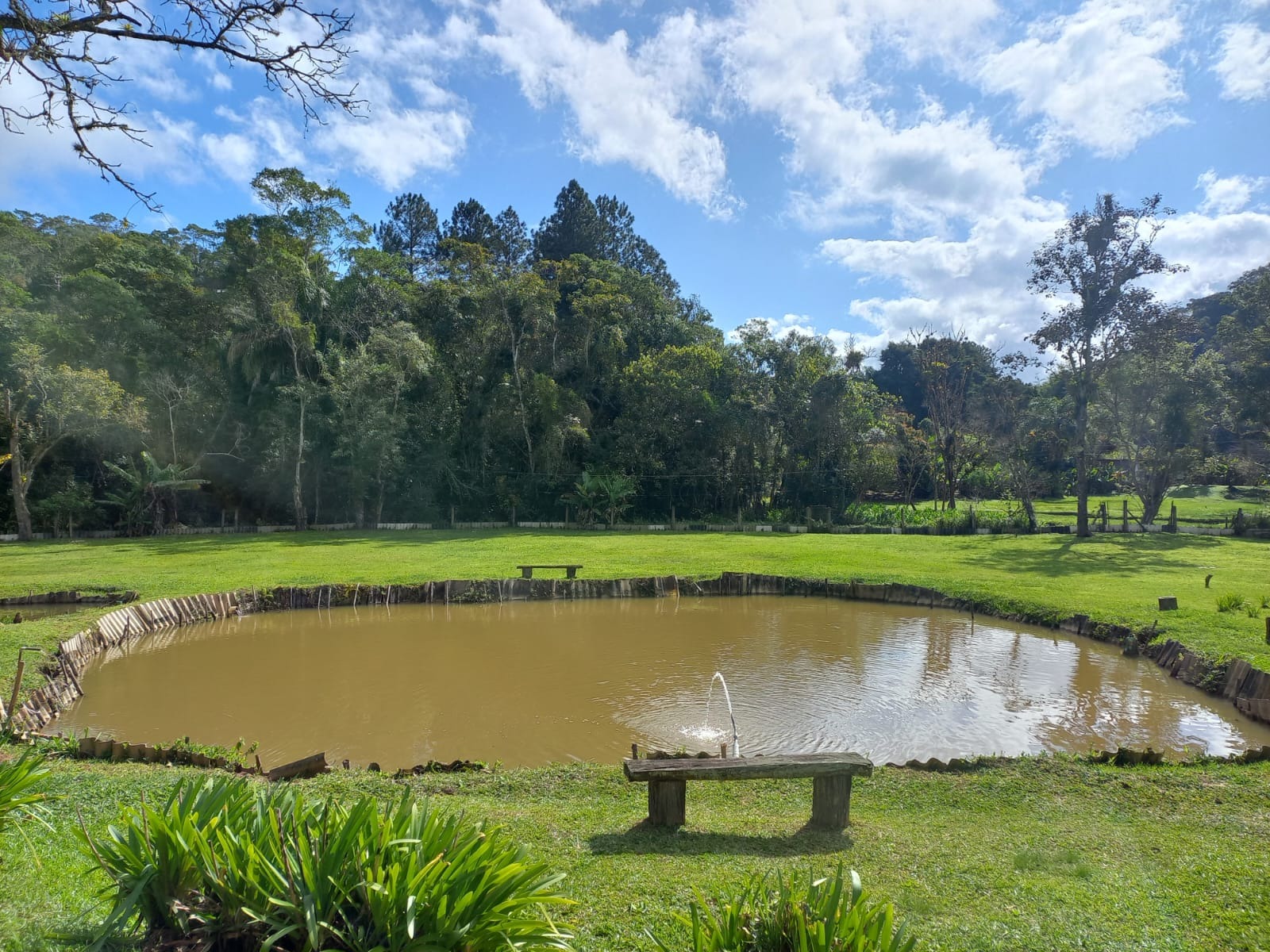 Sítio, 6 quartos, 3 hectares - Foto 9