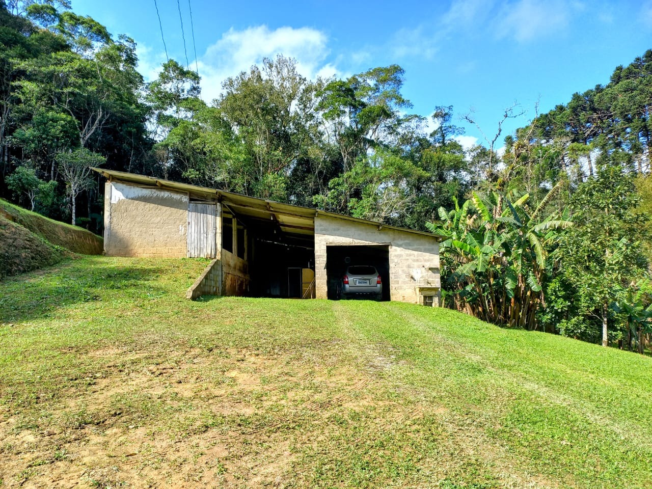 Sítio, 6 quartos, 3 hectares - Foto 11