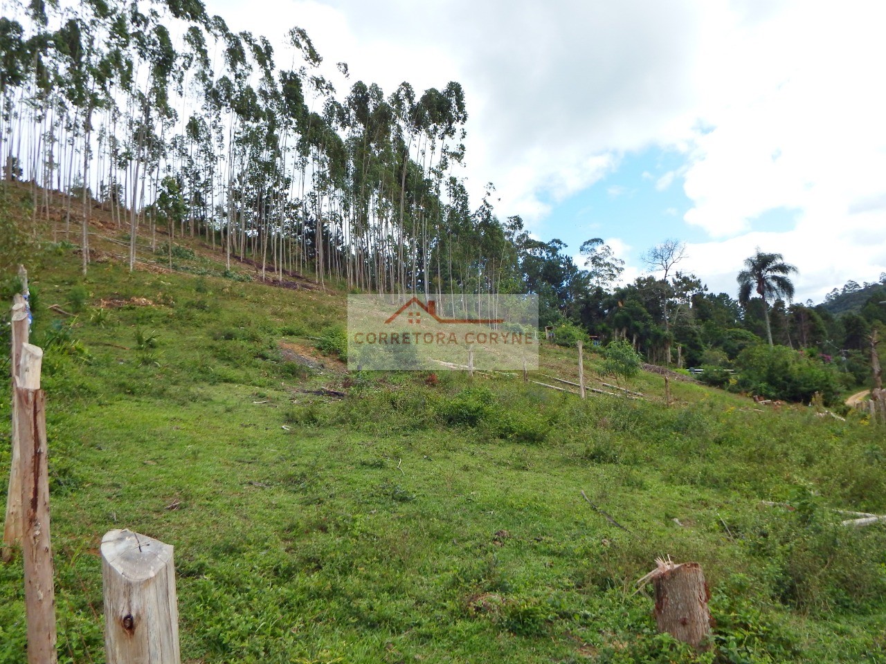 Sítio, 3 hectares - Foto 17