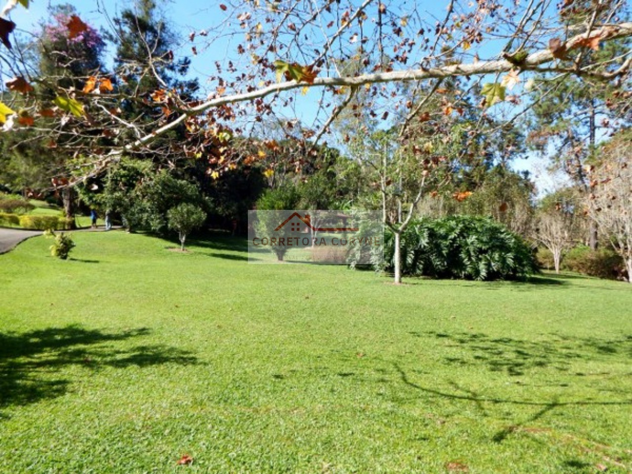 Sítio, 4 quartos, 12 hectares - Foto 28